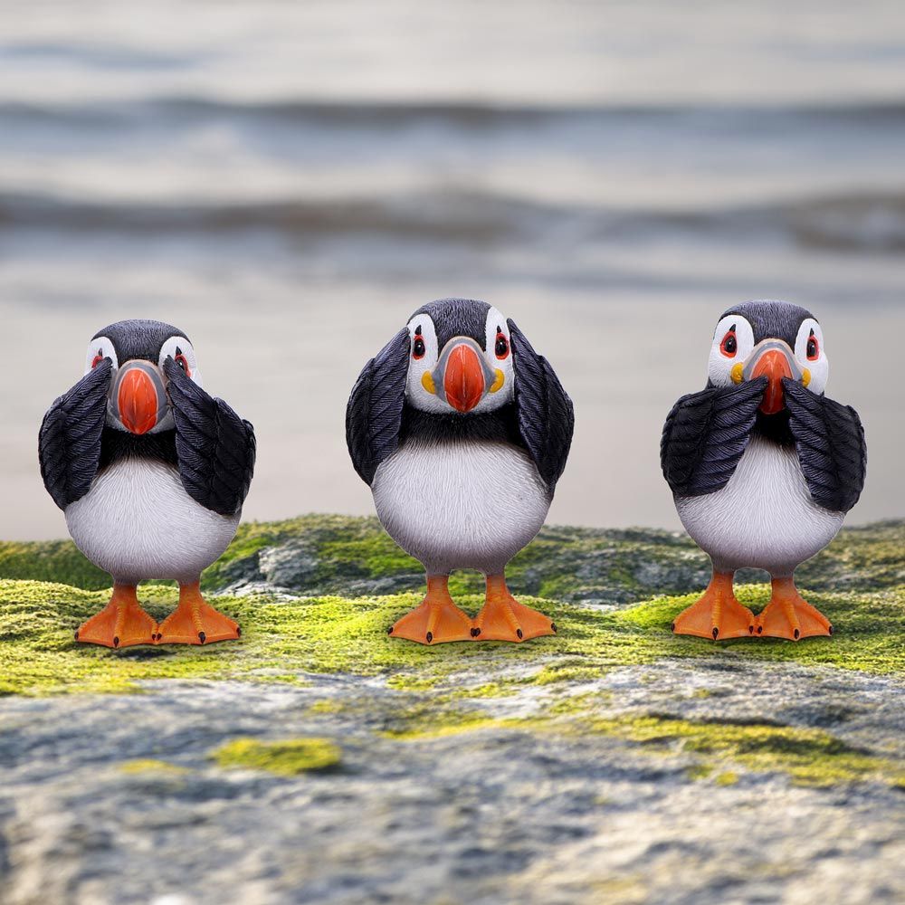 3 Wise Puffins