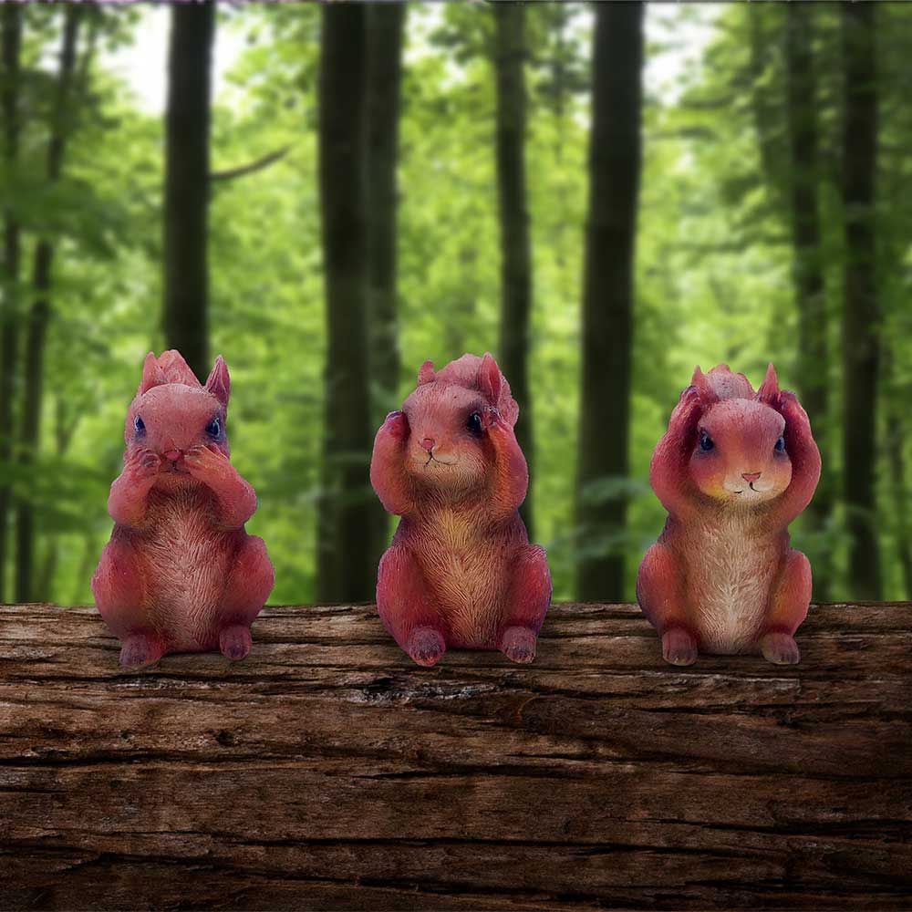 3 Wise Squirrels