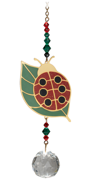 Crystal Dreams - Ladybug - Multicolour