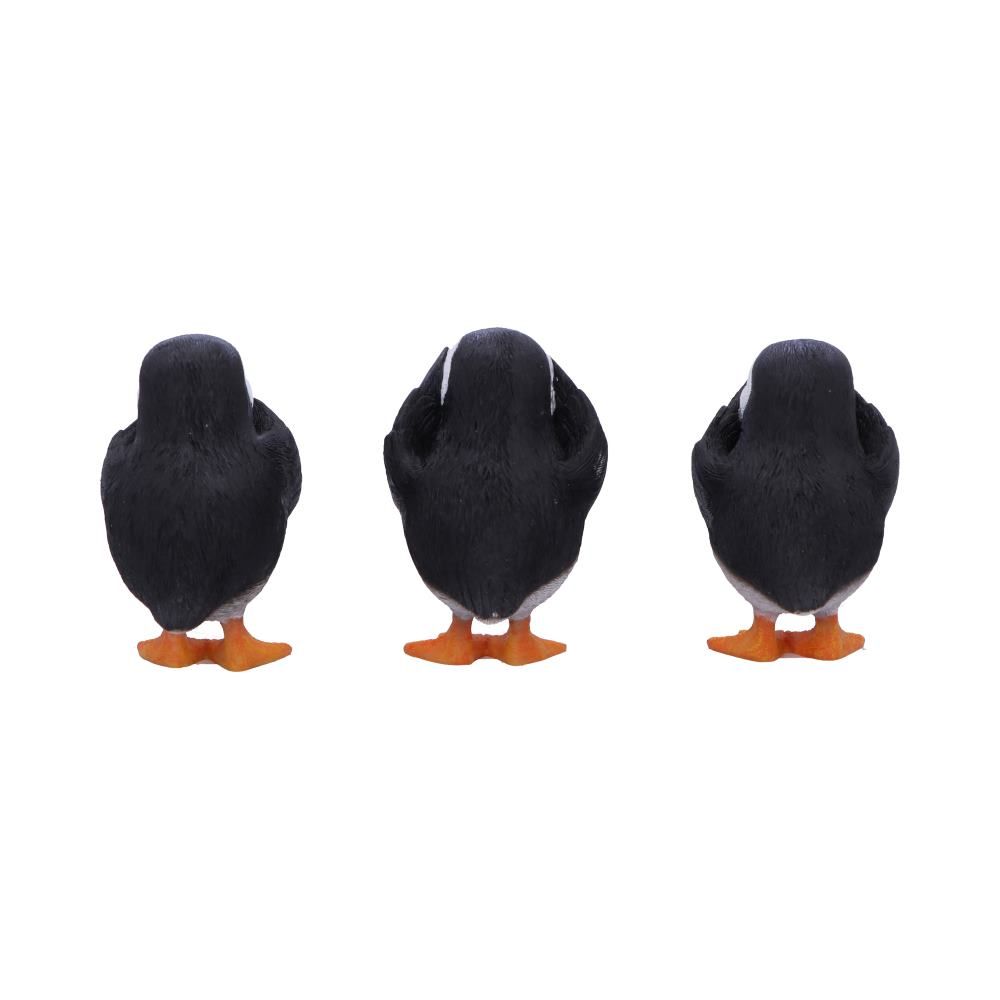 3 Wise Puffins