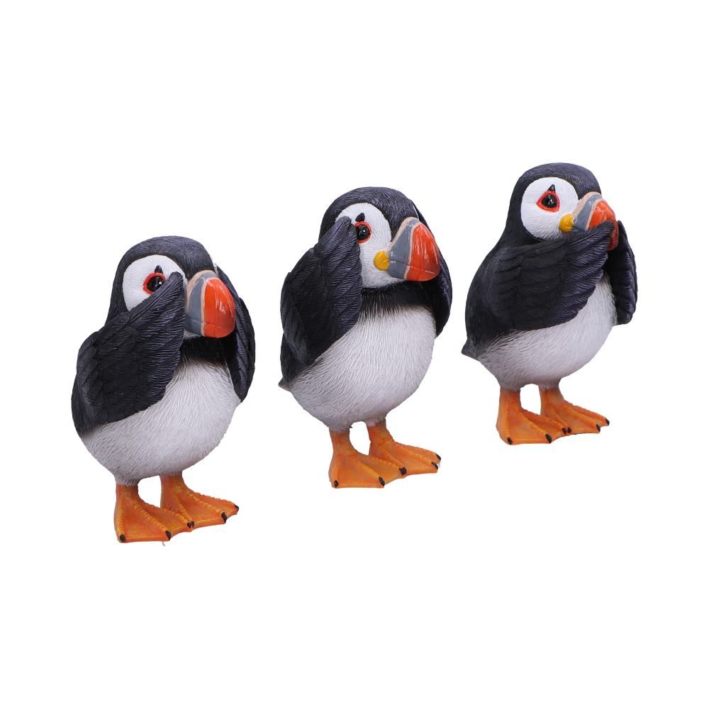 3 Wise Puffins