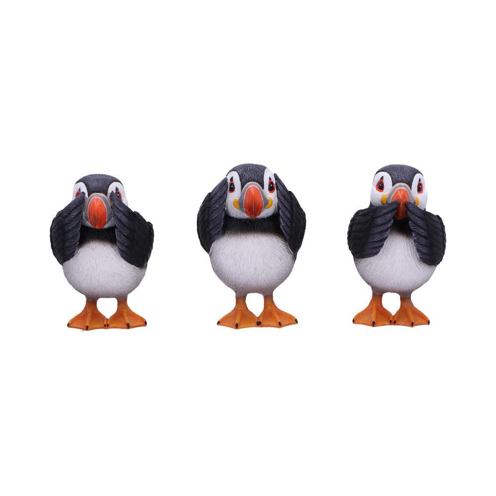 3 Wise Puffins