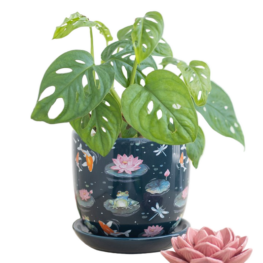 Pond Print Plant Pot with Saucer